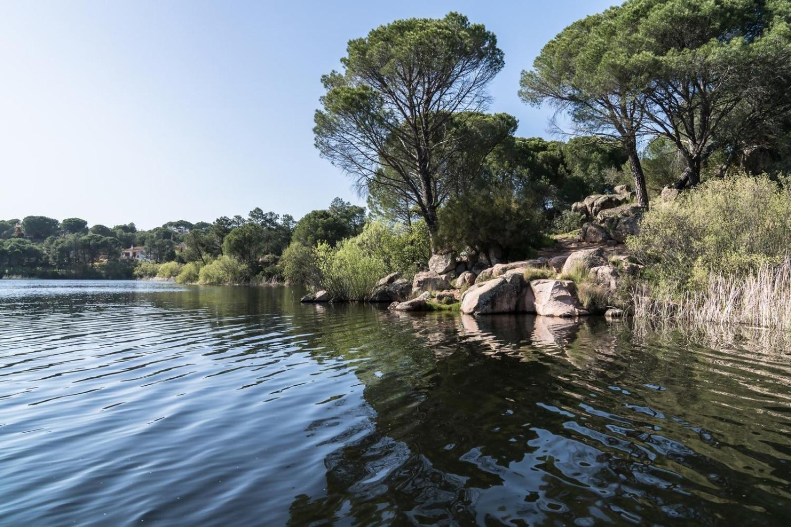 Casa El Lago Alojamiento Rural Las Jaras ภายนอก รูปภาพ